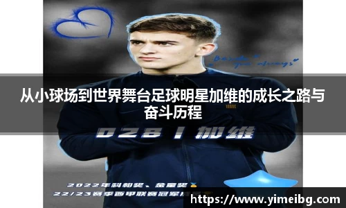 k1体育-十年品牌